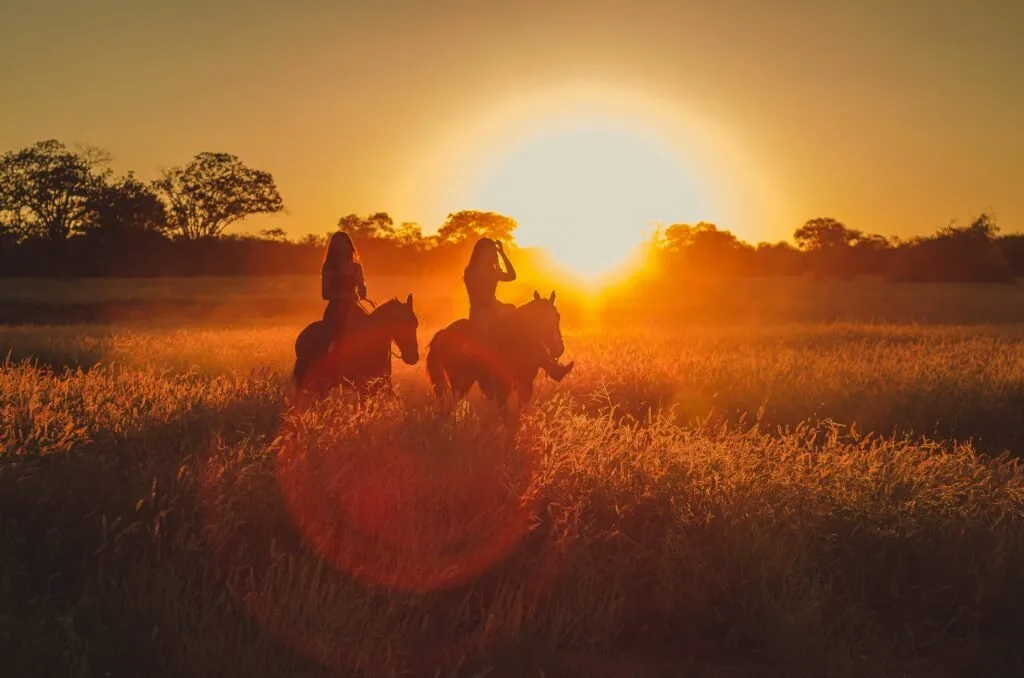 Balade à cheval romantique au coucher du soleil en Alsace