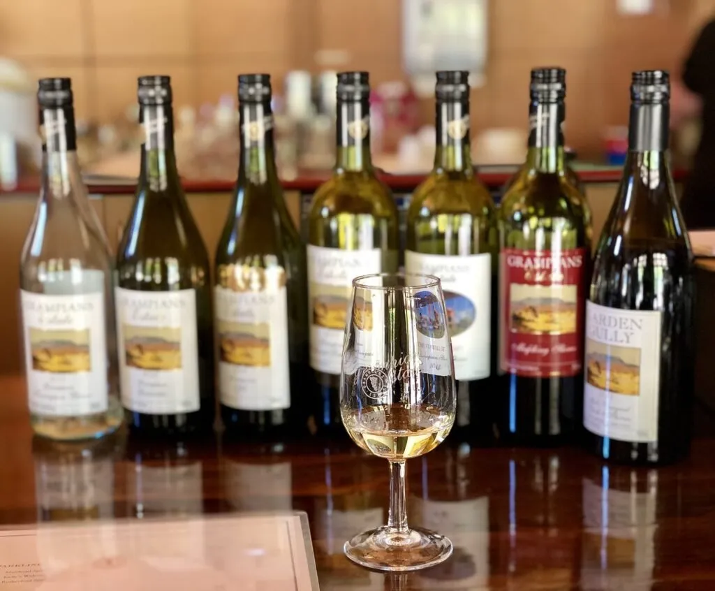 Dégustation privée de vin en Alsace pour un couple